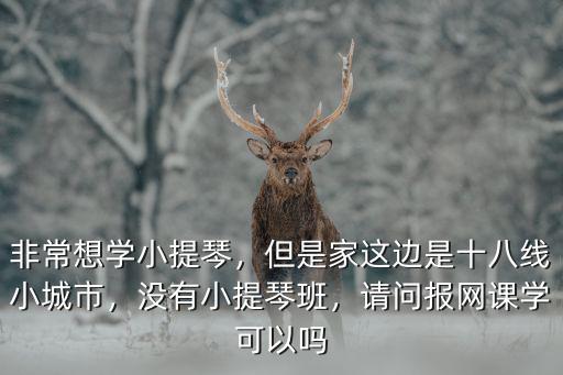 非常想學(xué)小提琴，但是家這邊是十八線小城市，沒有小提琴班，請(qǐng)問報(bào)網(wǎng)課學(xué)可以嗎