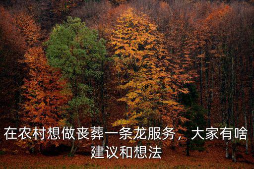 商丘民權服務一條龍在哪里,在農村做喪葬一條龍服務
