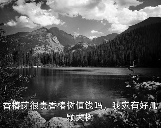 安陽縣哪里有香椿樹,香椿樹主要分布在哪里