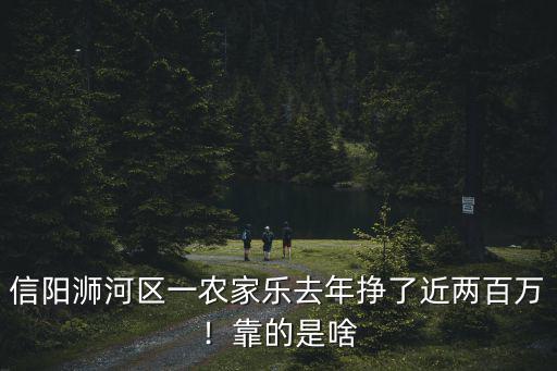 信陽浉河區一農家樂去年掙了近兩百萬！靠的是啥