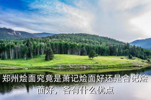 1976燴面在鄭州哪里,鄭州哪家燴面好吃