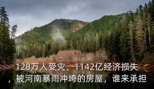 河南暴雨經濟損失多少,被河南暴雨沖垮的房屋