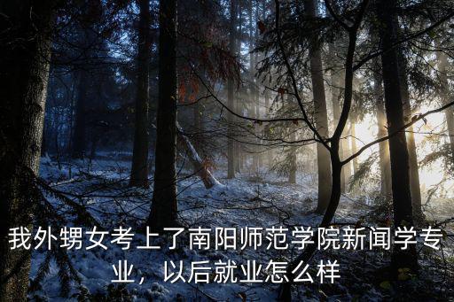 我外甥女考上了南陽師范學院新聞學專業，以后就業怎么樣
