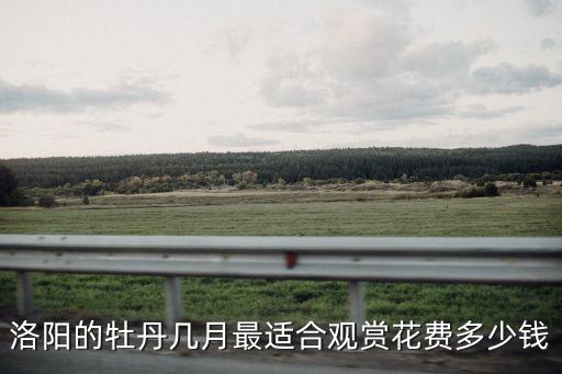 30克洛陽牡丹銀幣多少錢,1000塊錢窮游洛陽看牡丹