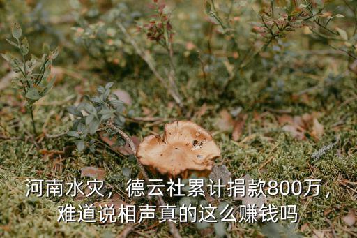 河南水災，德云社累計捐款800萬，難道說相聲真的這么賺錢嗎