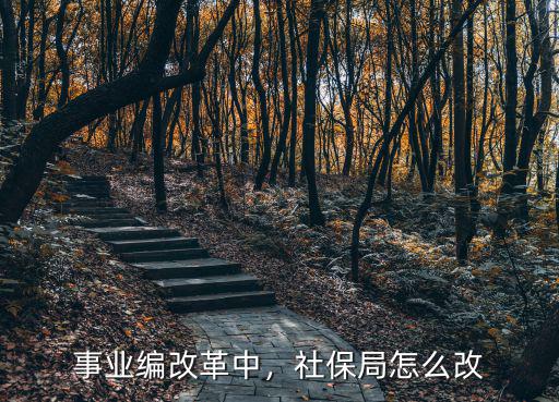 事業(yè)編改革中，社保局怎么改