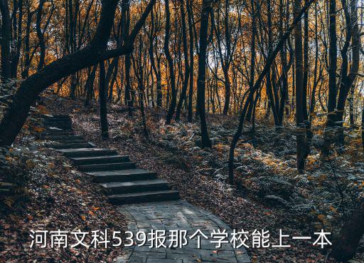 河南文科過一本線2分怎么報,河南一本理科過2O分