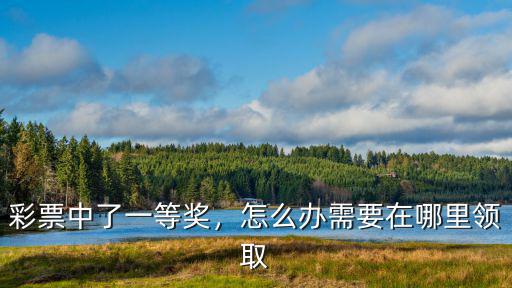 河南七星彩一等獎到哪里領(lǐng),彩票中了一等獎