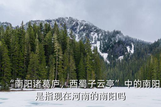 “南陽(yáng)諸葛廬，西蜀子云亭”中的南陽(yáng)是指現(xiàn)在河南的南陽(yáng)嗎