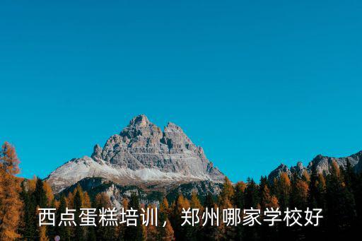 鄭州哪里可以學做蛋糕,西點蛋糕培訓