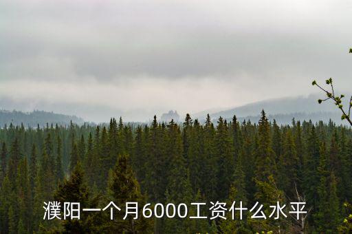 濮陽一個月6000工資什么水平
