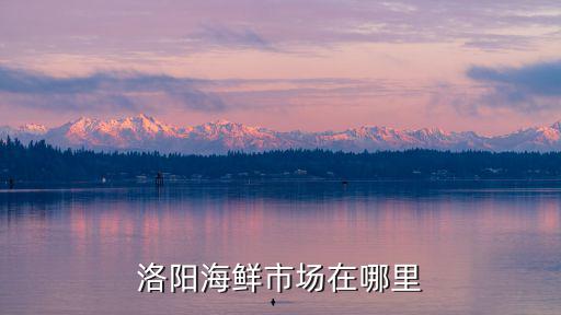 洛陽海鮮市場在哪里
