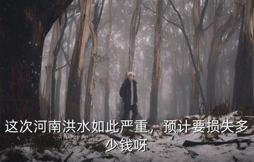 這次河南洪水如此嚴重，預計要損失多少錢呀