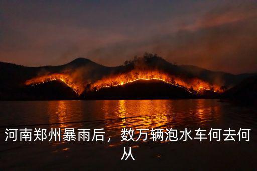 河南鄭州暴雨后，數萬輛泡水車何去何從