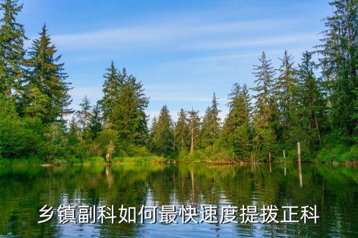 河南省鄉(xiāng)鎮(zhèn)正科實(shí)職怎么套改,正科實(shí)職改非后怎么套改