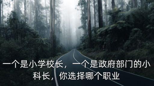 一個(gè)是小學(xué)校長(zhǎng)，一個(gè)是政府部門(mén)的小科長(zhǎng)，你選擇哪個(gè)職業(yè)