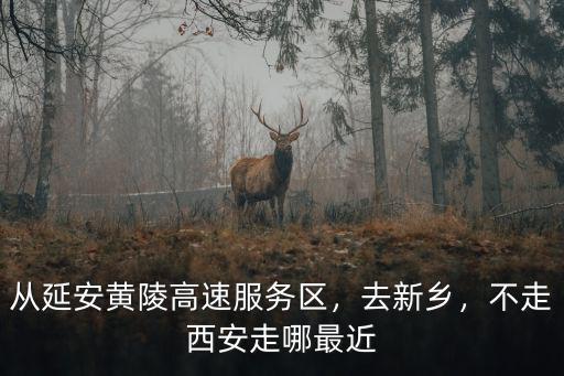 從延安黃陵高速服務區，去新鄉，不走西安走哪最近