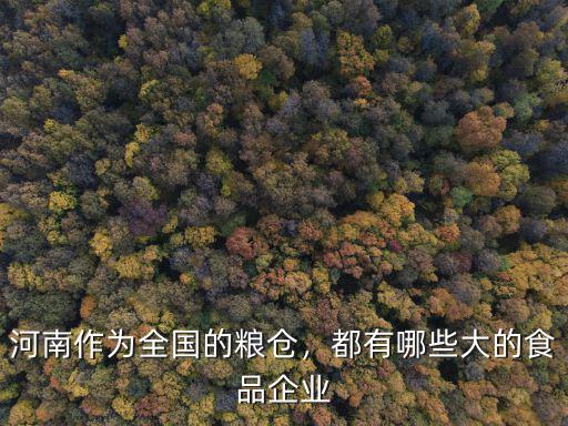 河南作為全國的糧倉，都有哪些大的食品企業