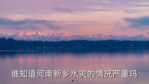 誰(shuí)知道河南新鄉(xiāng)水災(zāi)的情況嚴(yán)重嗎