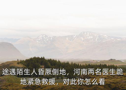 途遇陌生人昏厥倒地，河南兩名醫(yī)生跪地緊急救援，對此你怎么看