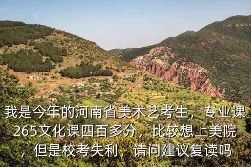 我是今年的河南省美術藝考生，專業課265文化課四百多分，比較想上美院，但是校考失利，請問建議復讀嗎