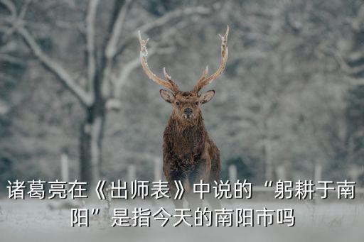 諸葛亮在《出師表》中說(shuō)的“躬耕于南陽(yáng)”是指今天的南陽(yáng)市嗎