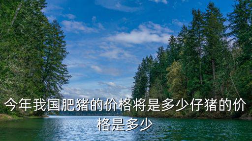 洛陽活豬最新價格是多少,仔豬的價格是多少