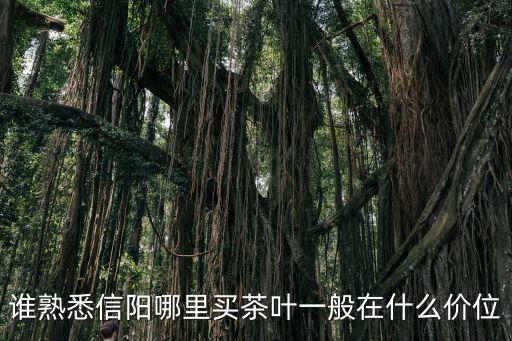 信陽潭家河在哪里,正宗的信陽毛尖產地在哪里