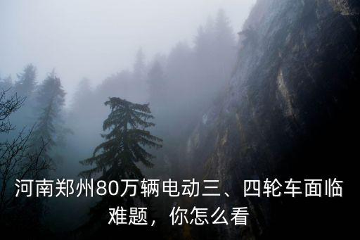 河南鄭州80萬輛電動三、四輪車面臨難題，你怎么看