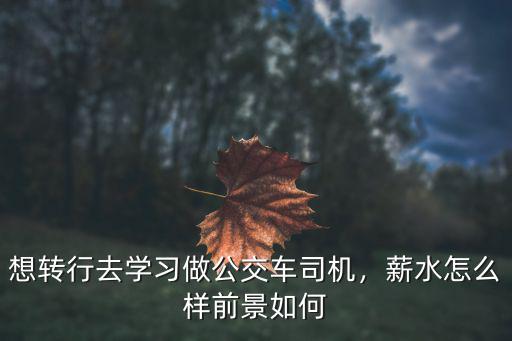 想轉行去學習做公交車司機，薪水怎么樣前景如何