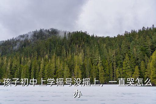 鄭州怎么查民辦初中搖號結(jié)果,鄭州民辦沒搖中怎么辦