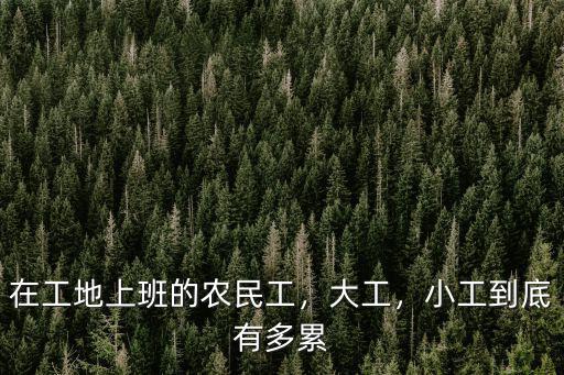 在工地上班的農民工，大工，小工到底有多累