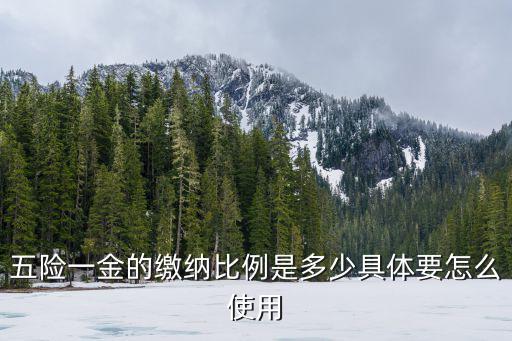洛陽五險一金怎么用,五險一金怎么用