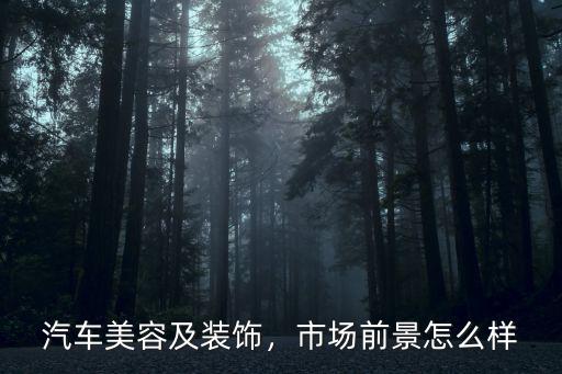 周口汽車裝飾市場怎么樣,市場前景怎么樣