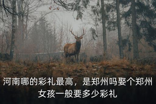 河南哪的彩禮最高，是鄭州嗎娶個(gè)鄭州女孩一般要多少彩禮