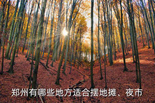 鄭州有哪些地方適合擺地攤、夜市