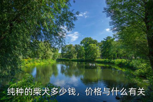 純種的柴犬多少錢，價格與什么有關(guān)