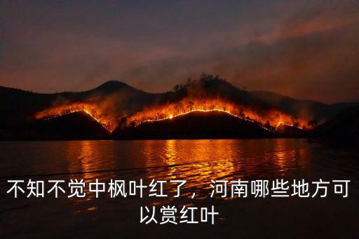 不知不覺中楓葉紅了，河南哪些地方可以賞紅葉