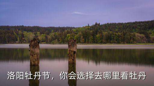 洛陽牡丹節在洛陽哪里開,洛陽最推薦去的地方是哪里