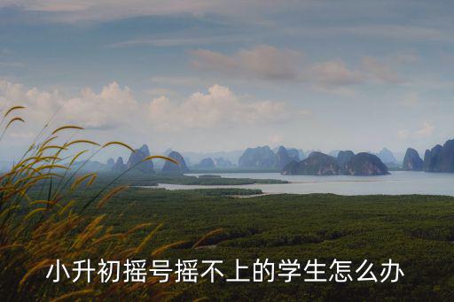 鄭州小升初民辦搖號落空怎么辦,鄭州民辦沒搖中怎么辦