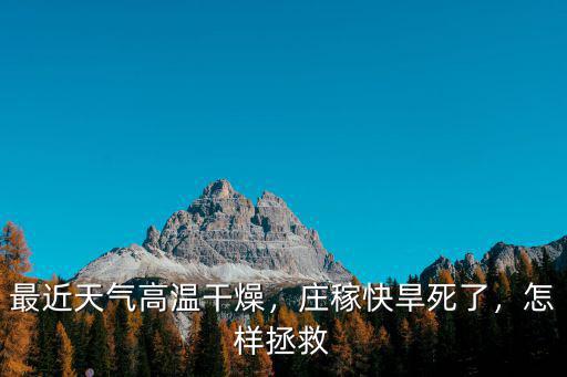 最近天氣高溫干燥，莊稼快旱死了，怎樣拯救