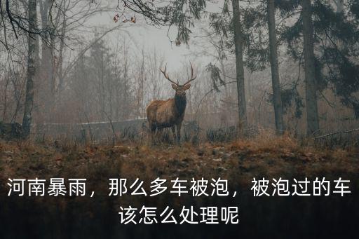 河南暴雨，那么多車被泡，被泡過的車該怎么處理呢