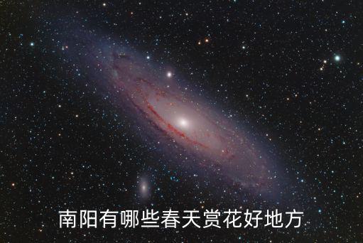 南陽有哪些春天賞花好地方