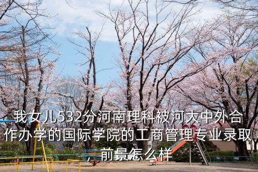 河南大學國際交流學院怎么樣,鄭州大學國際學院怎么樣