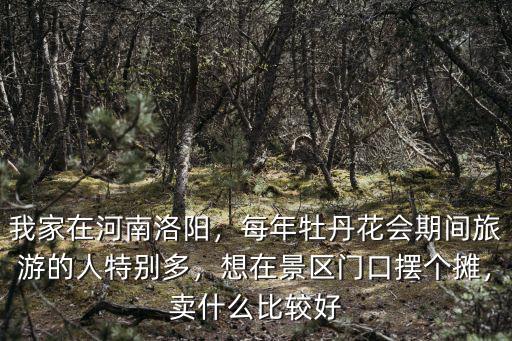 我家在河南洛陽，每年牡丹花會期間旅游的人特別多，想在景區門口擺個攤，賣什么比較好