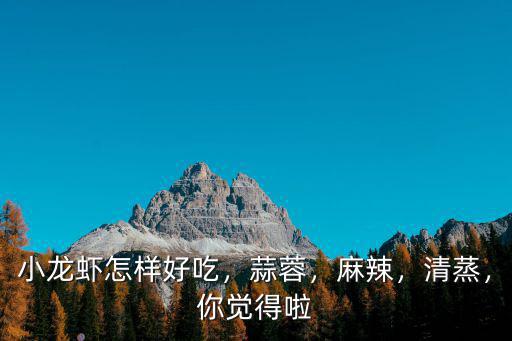 小龍蝦怎樣好吃，蒜蓉，麻辣，清蒸，你覺得啦