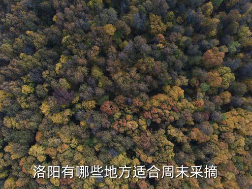 洛陽有哪些地方適合周末采摘