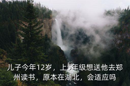 兒子今年12歲，上5年級想送他去鄭州讀書，原本在湖北，會(huì)適應(yīng)嗎