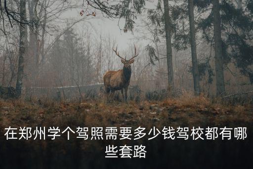 在鄭州學個駕照需要多少錢駕校都有哪些套路