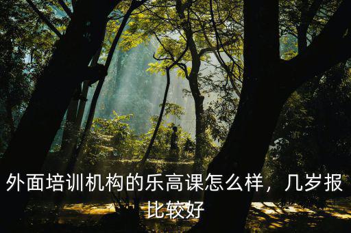 外面培訓機構的樂高課怎么樣，幾歲報比較好